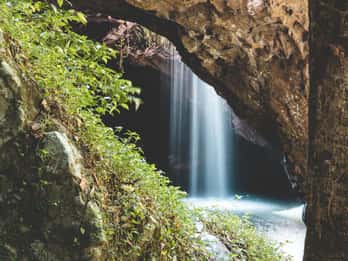 Brisbane: Rainforests, Waterfalls and Glow Worm Cave Tour