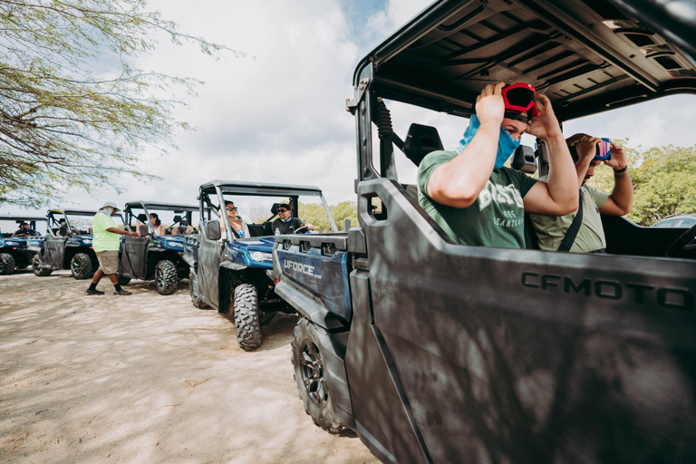 Aruba: UTV Off-Roading Tour and Swim at Arashi Beach