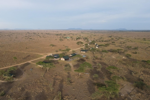 3-tägige Premium-Safari von Sansibar in die Serengeti