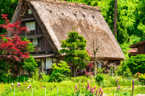 Da Nagoya: Tour di un giorno di Gujo, Hida Takayama e Shirakawa-go