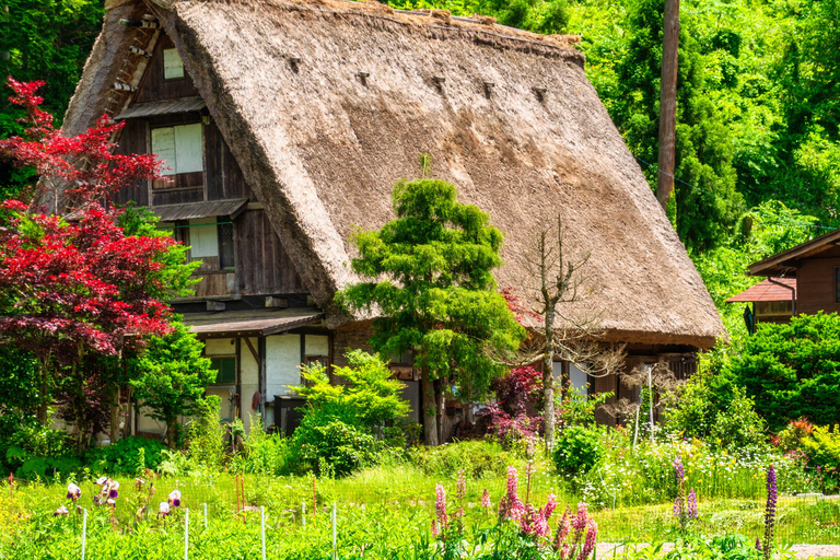 Z Nagoi: Jednodniowa wycieczka do Gujo, Hida Takayama i Shirakawa-go