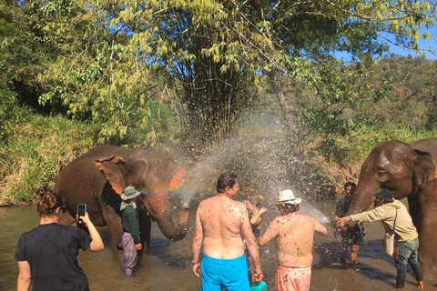 Chiang Mai : Parc national de Doi Inthanon et sanctuaire des éléphants