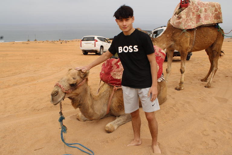 4x4 Mini Sahara & Berber Culture Experience from Agadir