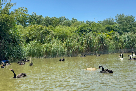 فينبيرل فينووندرز نام هوي آن مع سفاري وحديقة مائيةجولة خاصة بدون بوفيه أو عربة