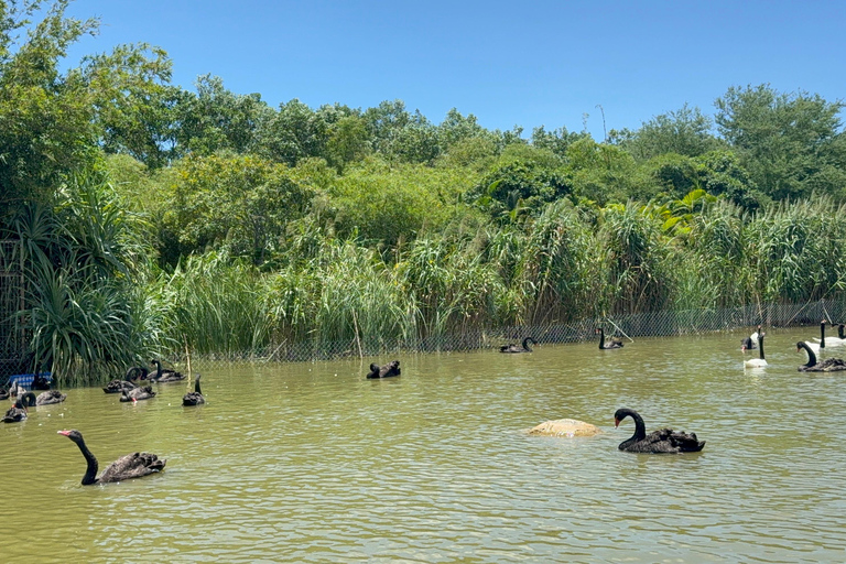 فينبيرل فينووندرز نام هوي آن مع سفاري وحديقة مائيةجولة خاصة بدون بوفيه أو عربة