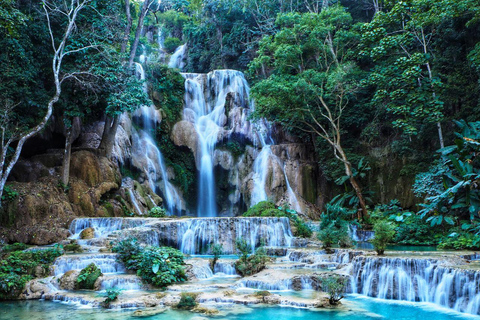 Luang Prabang: Alms Giving & Kuang Si Waterfall Private Tour
