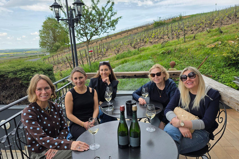 Epernay South - Half Day Visit and Champagne Tastings