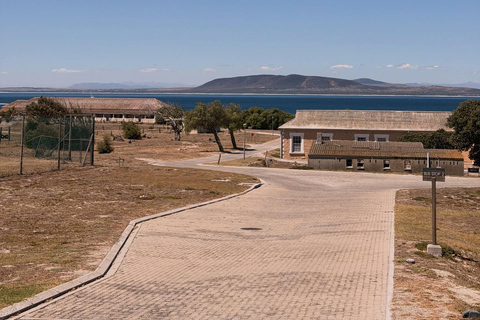 Cape Town: Robben Island Ticket with Ferry & Transfers