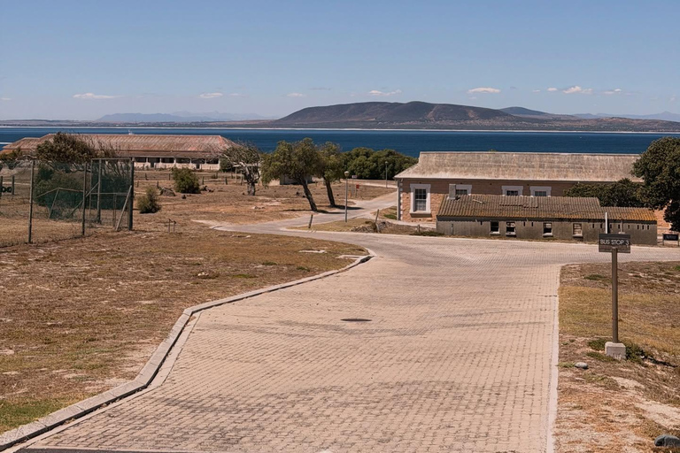 Cape Town: Robben Island Ticket with Ferry & Transfers