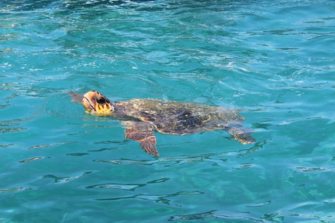 Zakynthos: Mizithres Glass-Bottom Boat Trip with Swim Stops