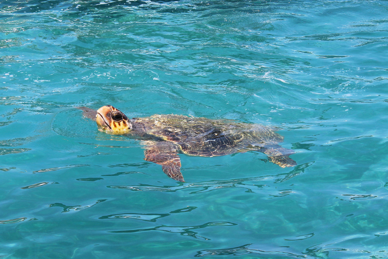 Zakynthos: Mizithres Glass-Bottom Boat Trip with Swim Stops
