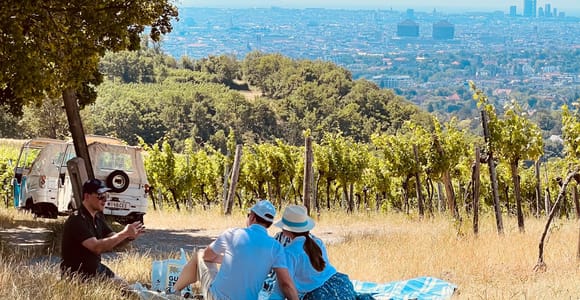 Vienna: TukTuk Vineyard Escape – Picnic and a View