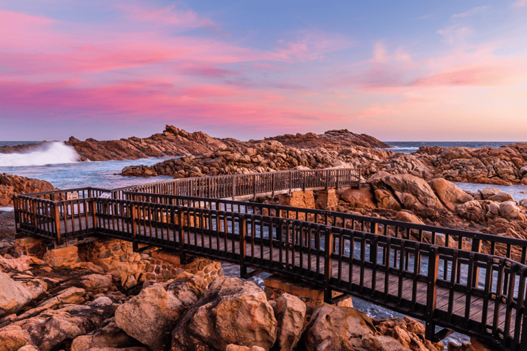 Tour di un giorno da Perth a Margaret River: Vino e pranzo di qualità