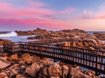 From Perth: Full-Day Margaret River Wine Tastings & Lunch
