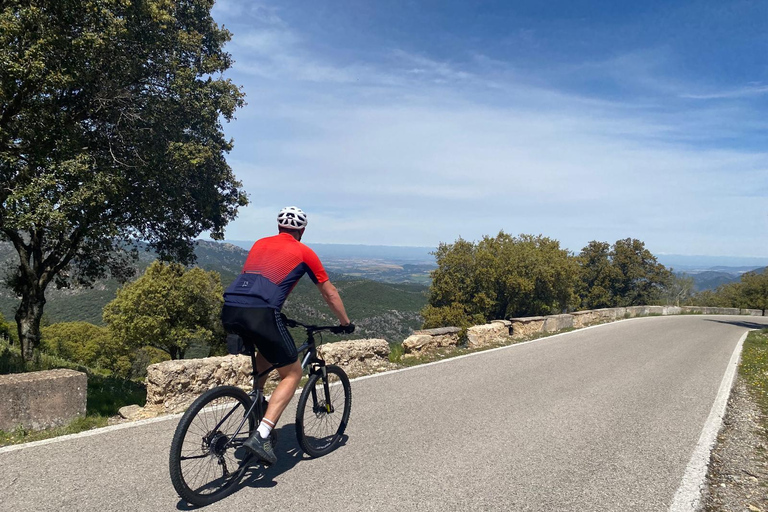 Ronda: Las Palomas Pass Self-Guided Bike Tour