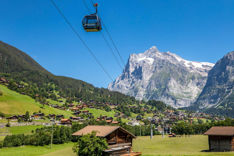 Männlichen : dégustation de fromages et de chocolats au sommet de la montagneMännlichen : Dégustation de fromages et de chocolats au sommet de la montagne