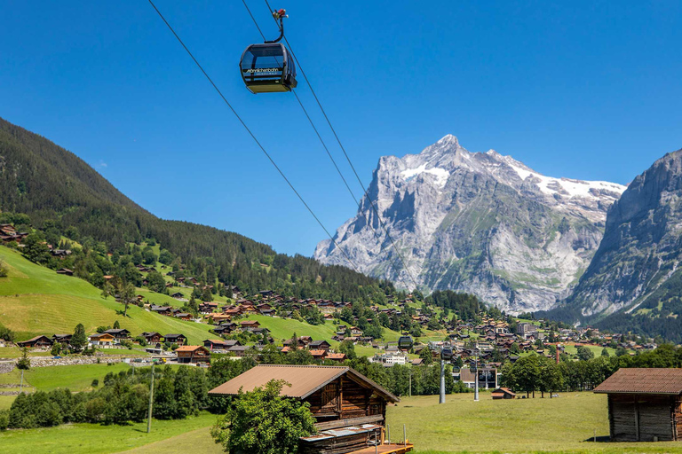 Männlichen : dégustation de fromages et de chocolats au sommet de la montagneMännlichen : Dégustation de fromages et de chocolats au sommet de la montagne