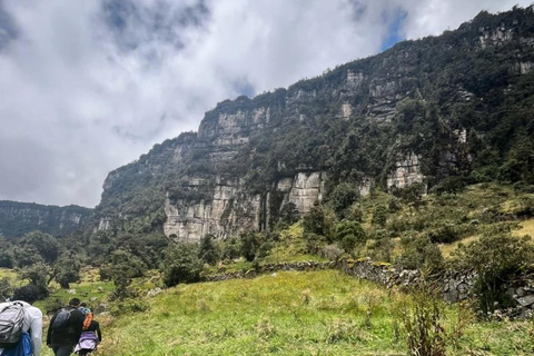 Hike through the Cloud Forest in Choachi, from Bogota