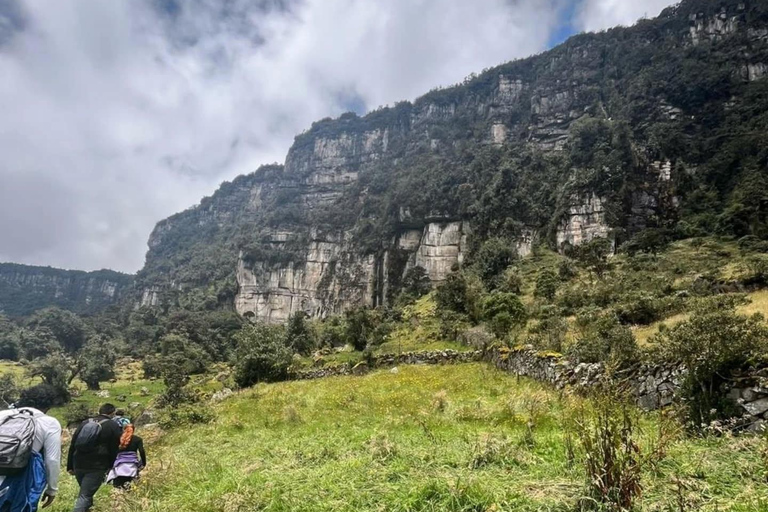 Hike through the Cloud Forest in Choachi, from Bogota