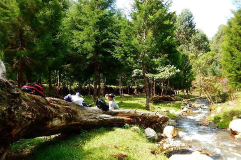 Medellin: Amazing Arvi Natural Reserve