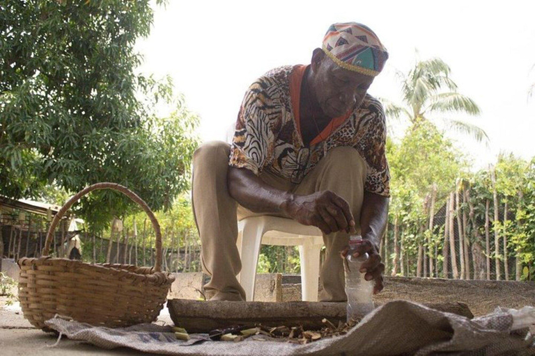 Palenque: Tour ecológico particular a cavalo com almoço