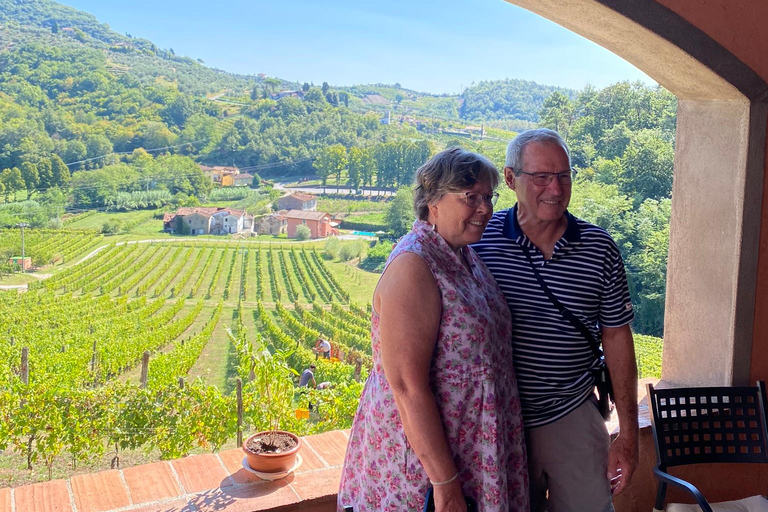 Tour del vino toscano in navetta da Lucca