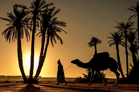 From Marrakech: Sunset Dinner in the Agafay Desert Agafay Desert Sunset Dinner Experience: A Taste of Morocco