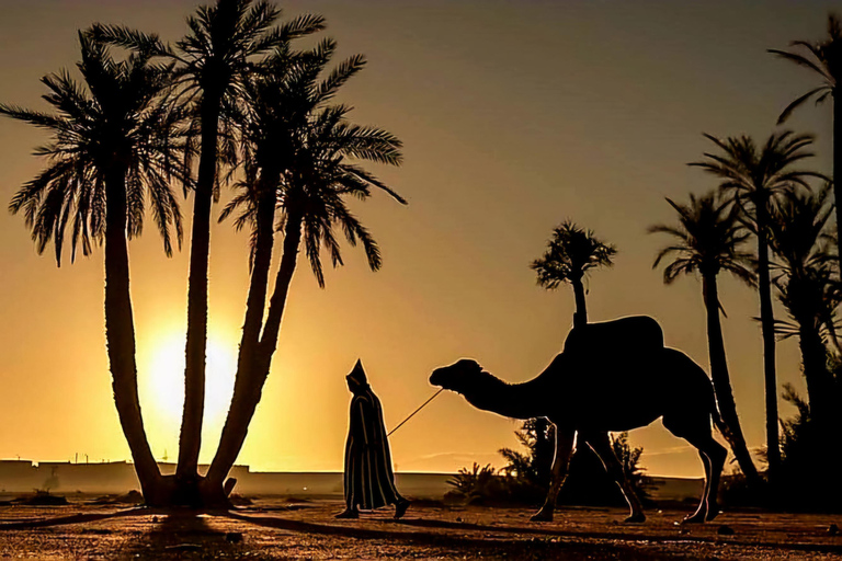 Da Marrakech: Cena al tramonto nel deserto di Agafay