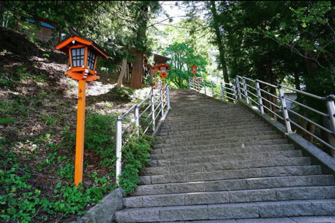 Tokyo: Monte Fuji, Pagoda Chureito, Lago Kawaguchi Tour in spagnolo