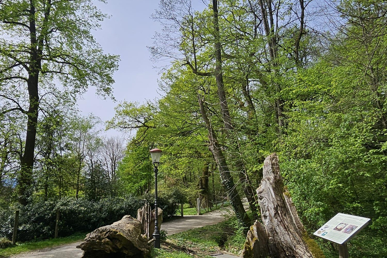 Erlebe einen Tag voller Schönheit in Ljubljana, SlowenienTag in Ljubljana