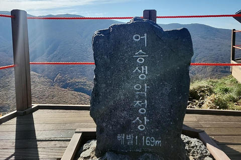 (Hotel PickUp) Jeju: West South Spring Canola & UNESCO Tour