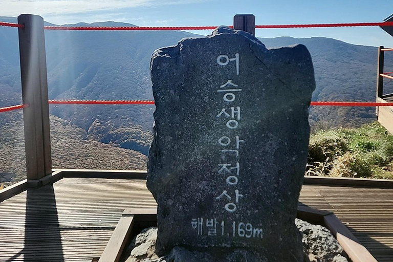 (Hotel PickUp) Jeju: West South Spring Canola & UNESCO Tour