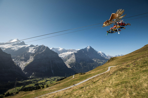 Prywatna wycieczka z przewodnikiem do Grindelwald First z Zurychu