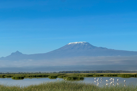 From Nairobi: 3-Day Amboseli National Park Safari