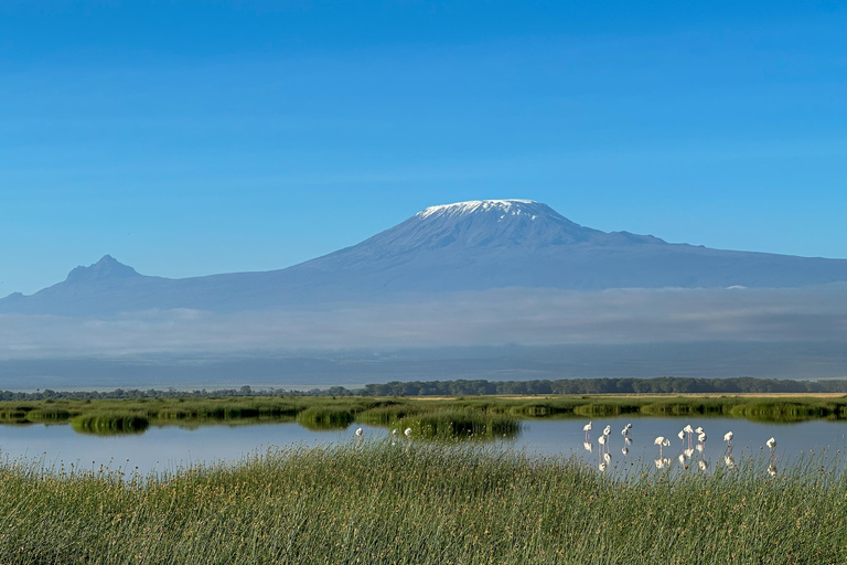 From Nairobi: 3-Day Amboseli National Park Safari