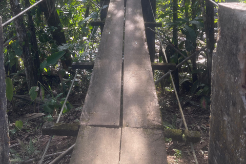 Paraty: Serra da Bocaina National Park Guided Hike