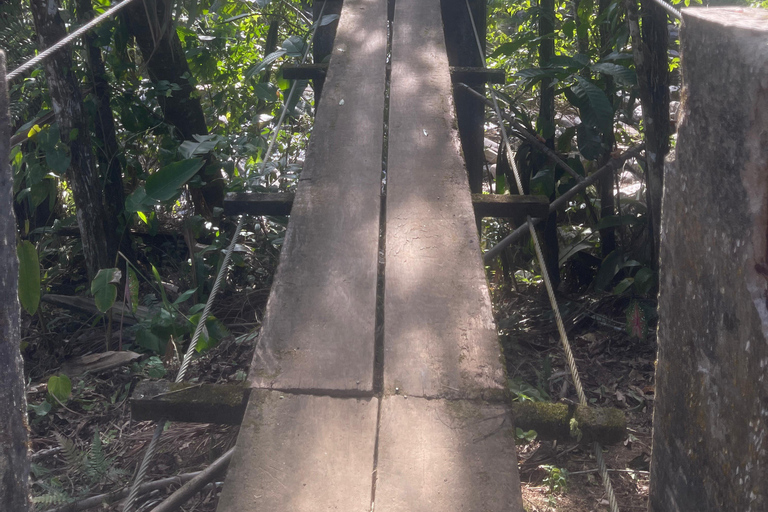 Paraty: Serra da Bocaina National Park Guided Hike