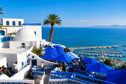 Tunis: Carthage and Sidi Bou Said Tour VIP Hammamet: Tunis, Carthage & Sidi Bou Said Tour