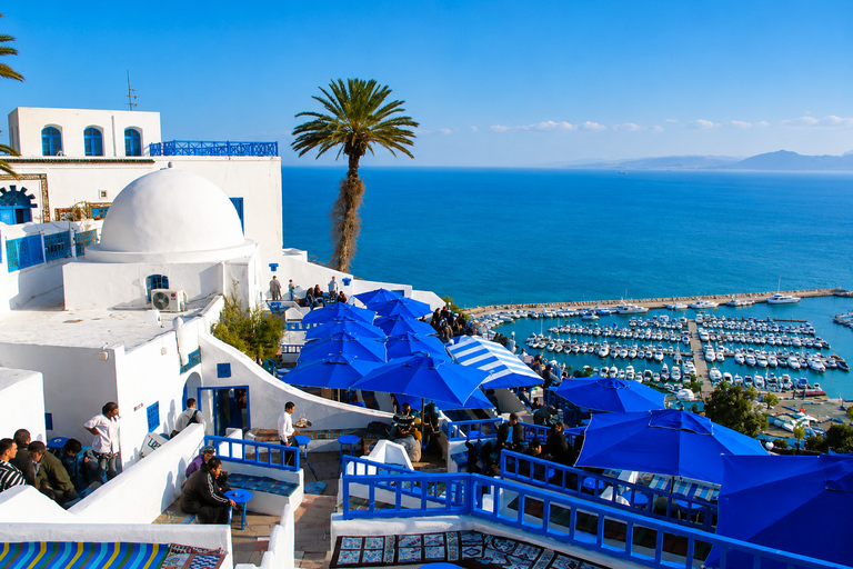 Tunis: Carthage and Sidi Bou Said Tour VIP Hammamet: Tunis, Carthage & Sidi Bou Said Tour