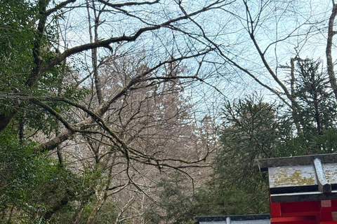 Kyoto: Private Customizable Tour with Driver and Guide
