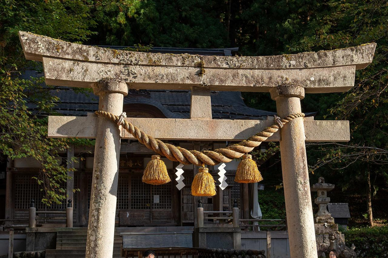 Kanazawa: Shirakawa-go privé-dagtour met lunch