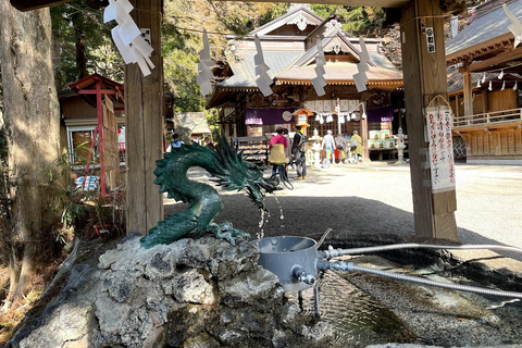 Tokio: Tour de día completo por los cuatro Majestuosos parajes del Monte Fuji