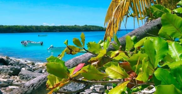 La Romana: Catalina Island Day Trip with Lunch & Drinks