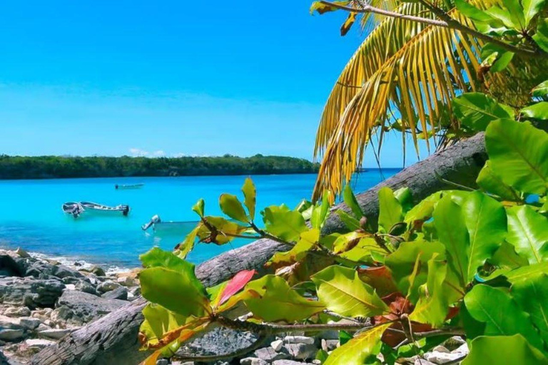 La Romana: Catalina Island Day Trip with Lunch & Drinks