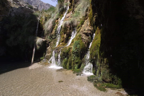 De Rethymno: Passeio de trekking pelo rio no desfiladeiro de KourtaliotikoPonto de encontro