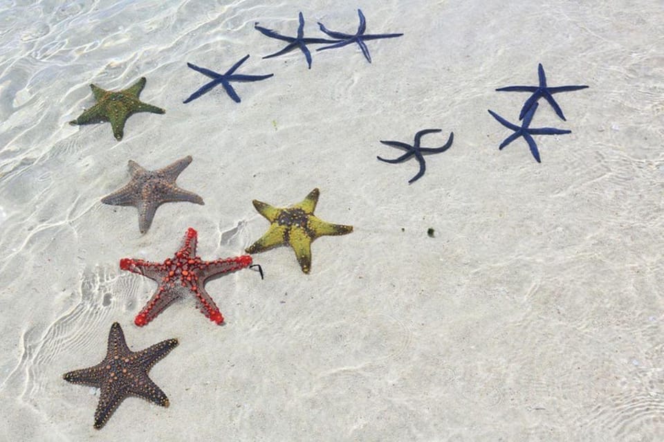 Almuerzo En La Roca Laguna Azul Aventura De Las Estrellas De Mar