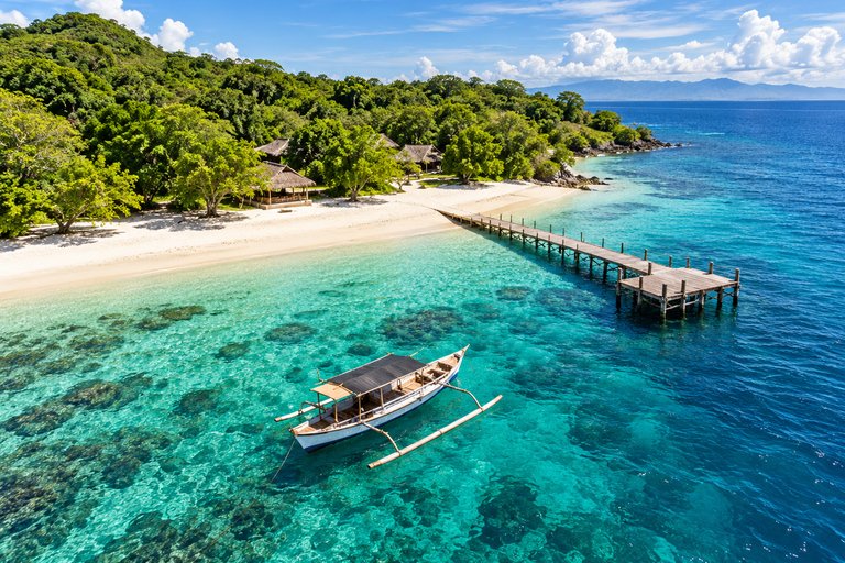 Labuan Bajo: 4-Day Sumbawa Whale Shark & Moyo with Flights Sharing Whale Shark & Moyo Island Private Tour