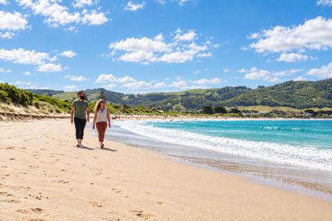 Melbourne: Great Ocean Road Tour, 12 Apostles & Apollo Bay Melbourne CBD Meeting Point (Max 50 guests)