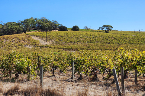 Adelaide: McLaren Vale Winery Tour with Lunch & Tastings