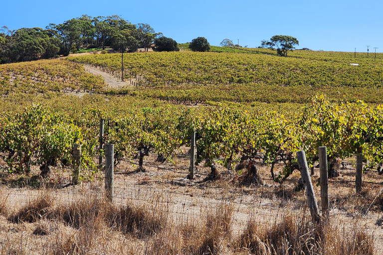Adelaide: McLaren Vale Winery Tour with Lunch & Tastings